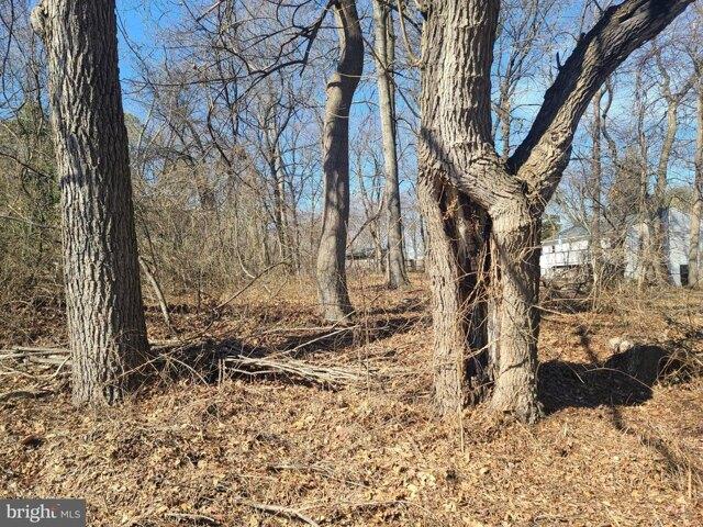 Land for sale in Odenton