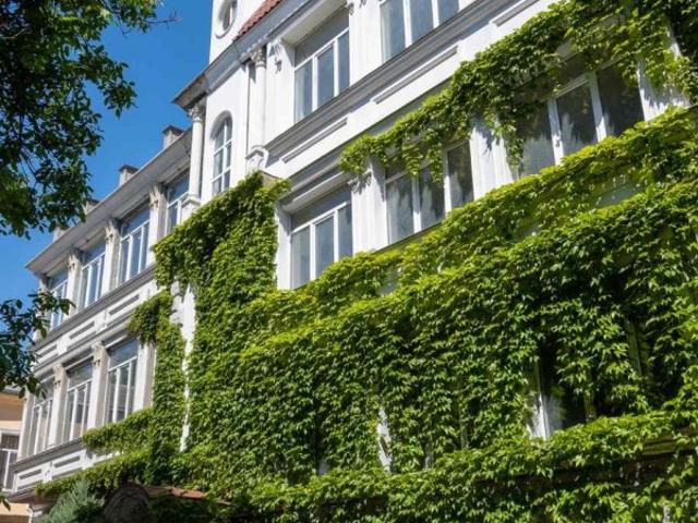 Коммерческая недвижимость продажа в Великодолинском, Днепропетровской области