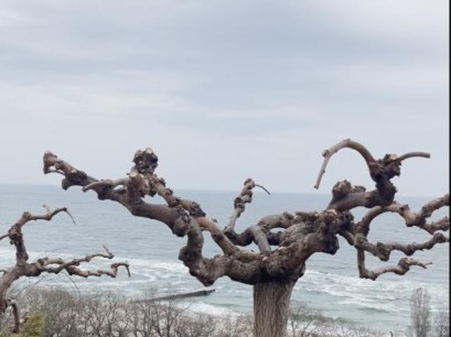 Участок продажа в Малиновский, Великодолинском