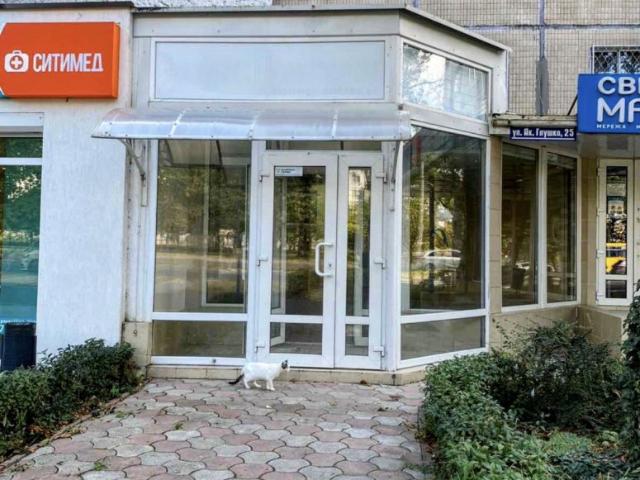 Коммерческая недвижимость аренда в Великодолинском, Днепропетровской области