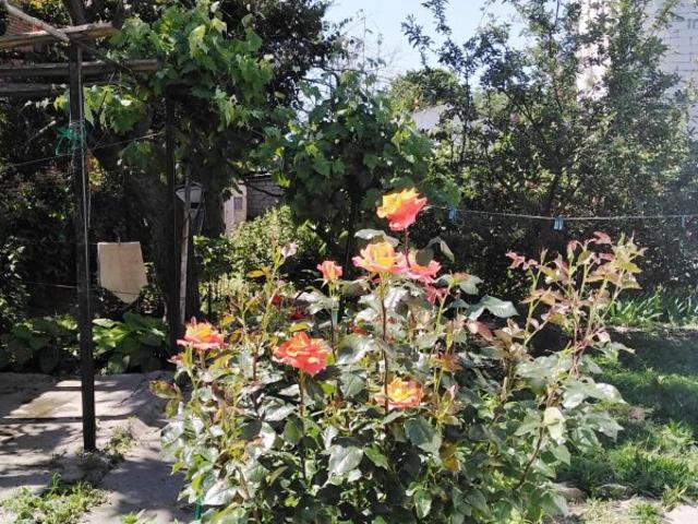 Дом продажа в Великодолинском, Днепропетровской области