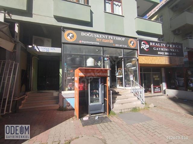 Maltepe, İstanbul içerisinde satılık mülk