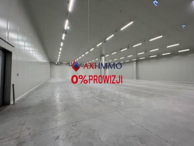 Komercyjne do wynajęcia w Łódź, Łódzkie