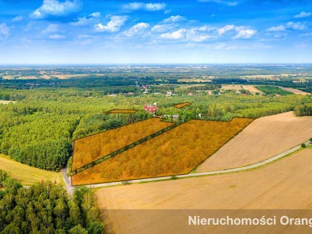 Grunt na sprzedaż w Łódź, Łódzkie