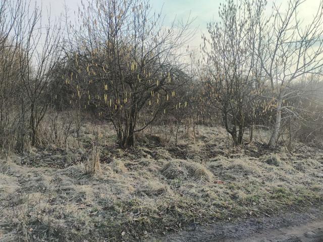 Grunt na sprzedaż w Łódź, Łódzkie
