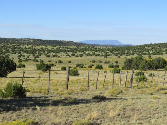 Land for sale in Quemado, Catron County
