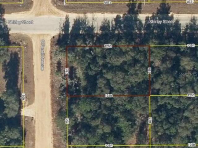 House for sale in Interlachen