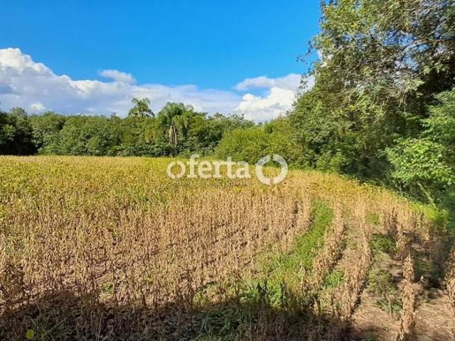 Sítio e chácara venda em Região Geográfica Imediata de Curitiba, Região Metropolitana de Curitiba
