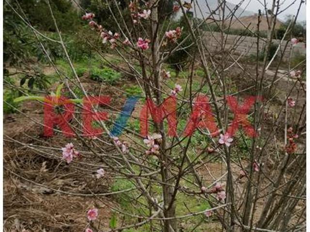 Terreno venta en Canete, Lima Metropolitana