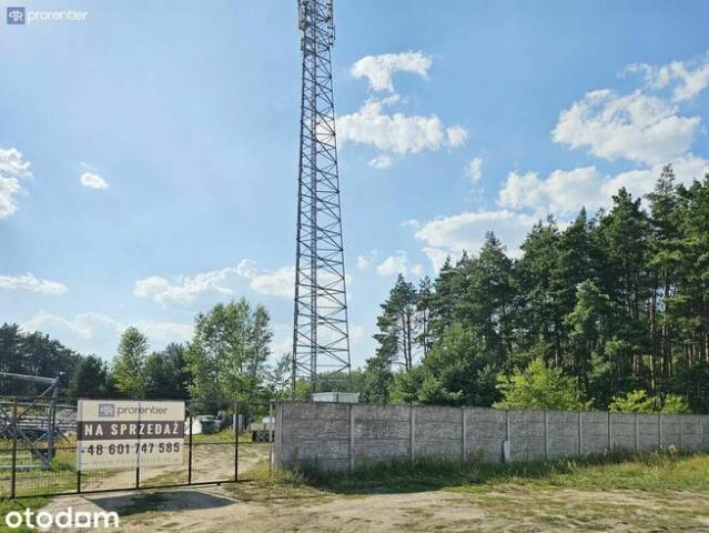 Grunt na sprzedaż w Zielona Góra, Lubuskie