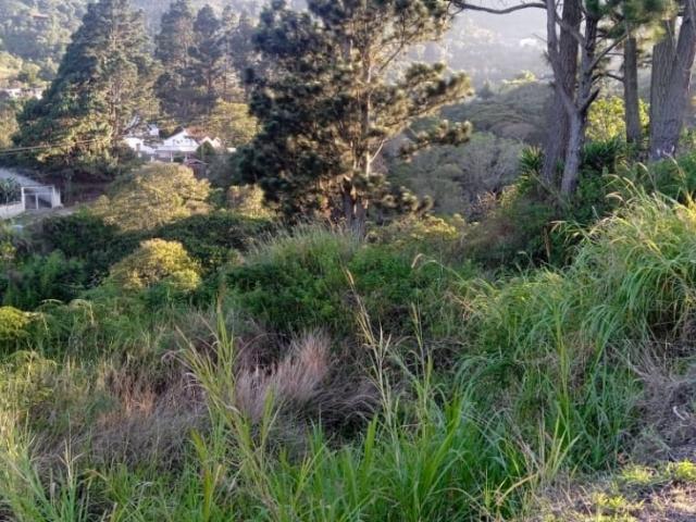 Terreno en venta en Distrito Capital