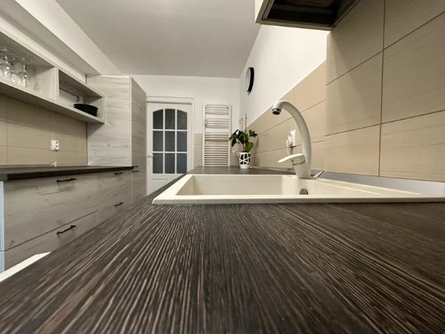 Apartament închirieri în Timiș