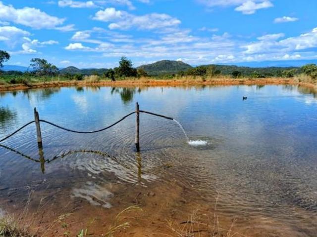 Sítio e chácara venda em Região Geográfica Imediata de Flores de Goiás, Cavalcante
