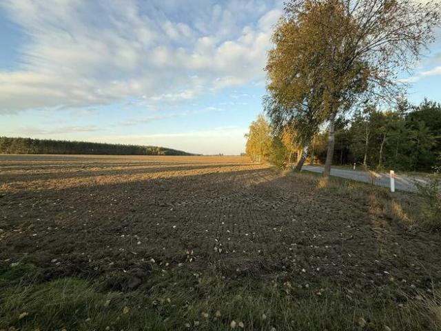 Grunt na sprzedaż w Słupca, Wielkopolskie