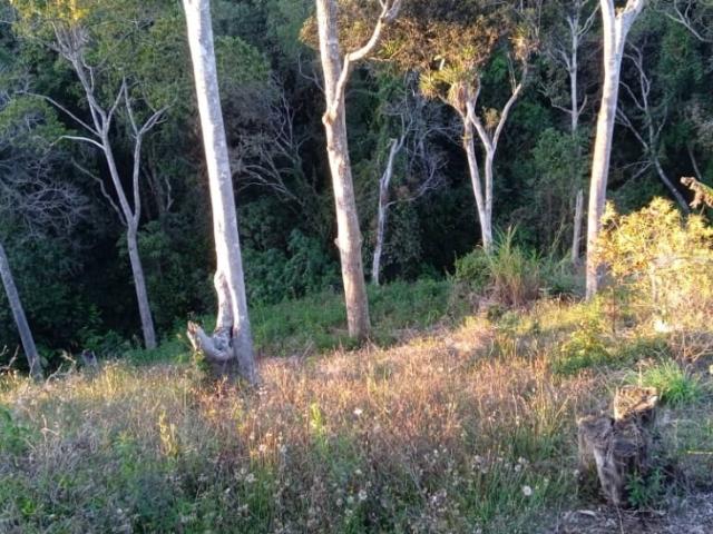 Terreno en venta en Distrito Capital