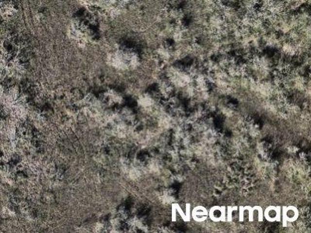 Land for sale in San Patricio, Texas