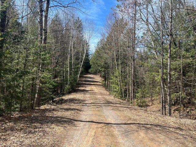 Land for sale in Minocqua, Wisconsin