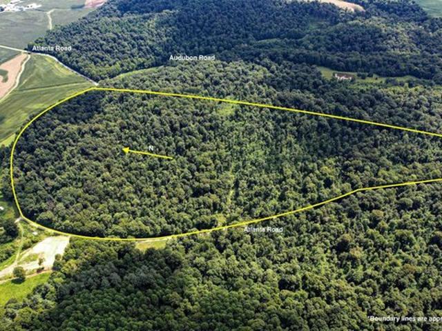 Land for sale in Tell City, Indiana