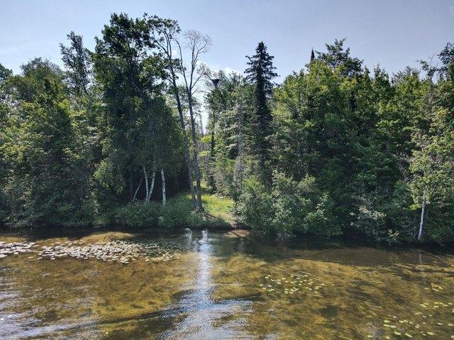 Land for sale in Vilas, Wisconsin