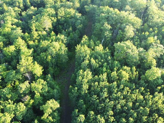 Land for sale in Powell Township, Marquette County