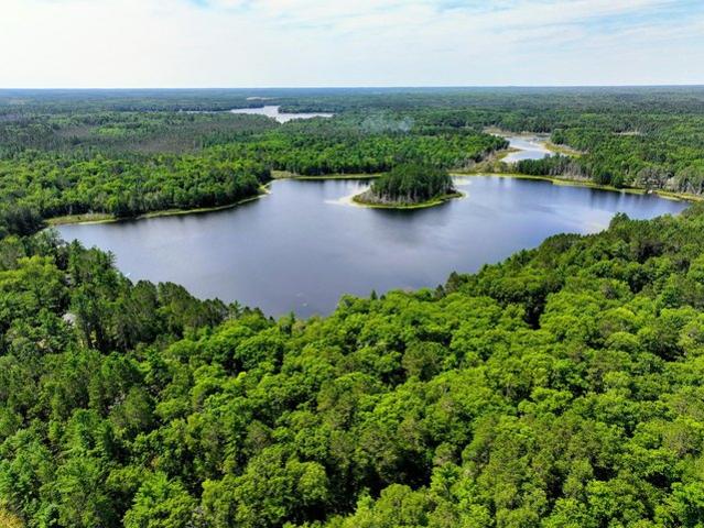 Land for sale in Vilas, Wisconsin