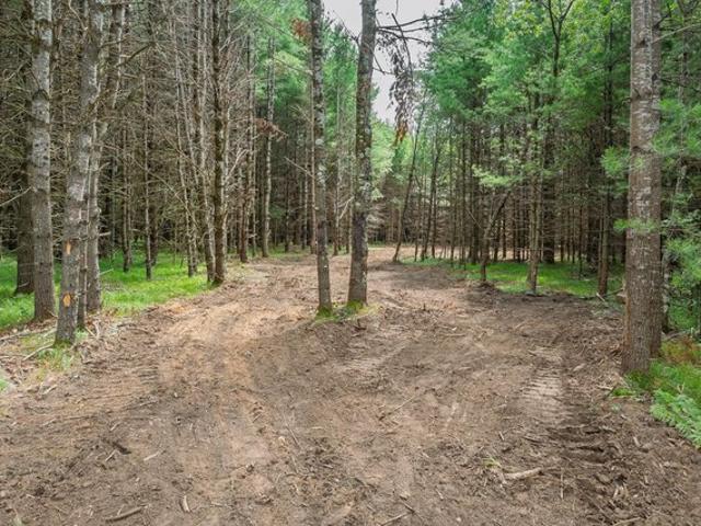 Land for sale in Vilas, Wisconsin