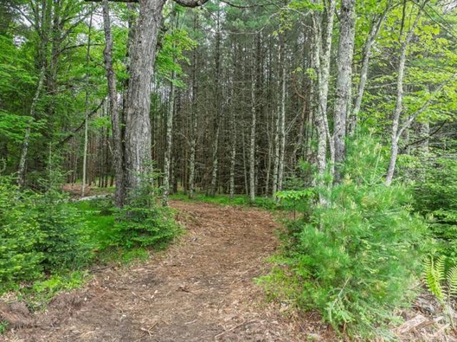 Land for sale in Vilas, Wisconsin