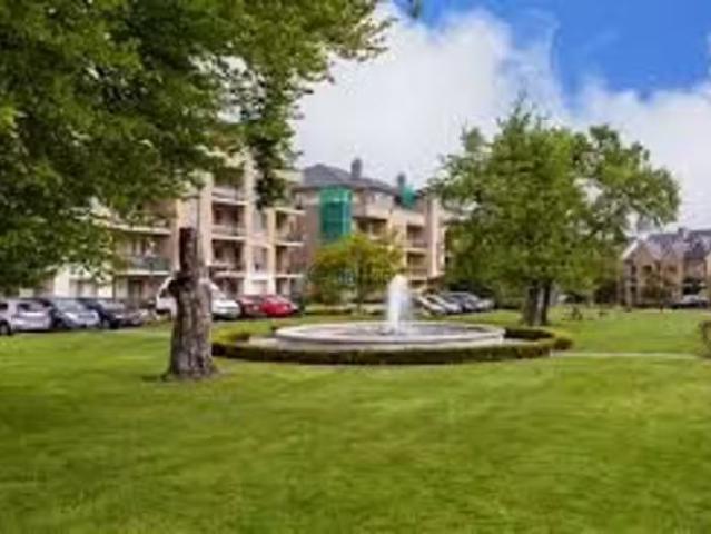 Apartment to rent