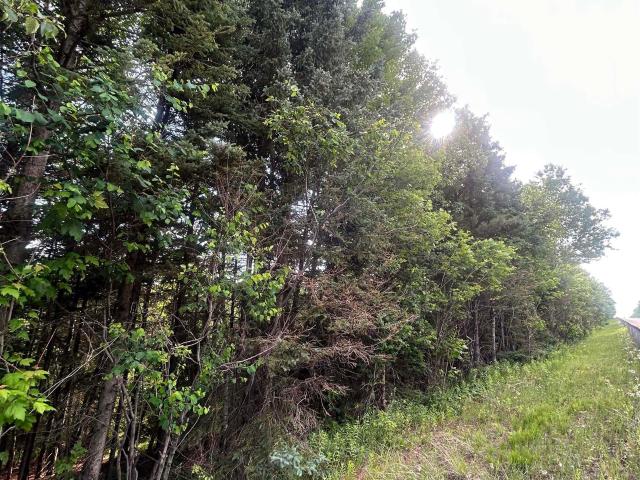 Land for sale in Negaunee, Michigan
