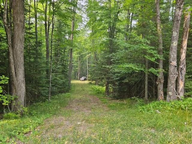Land for sale in Vilas, Wisconsin