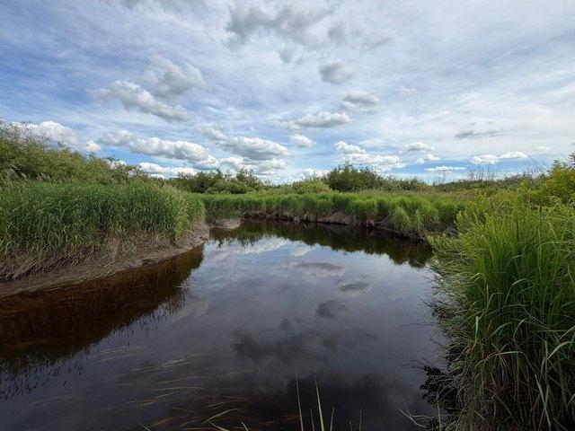 Land for sale in Merrill, Wisconsin