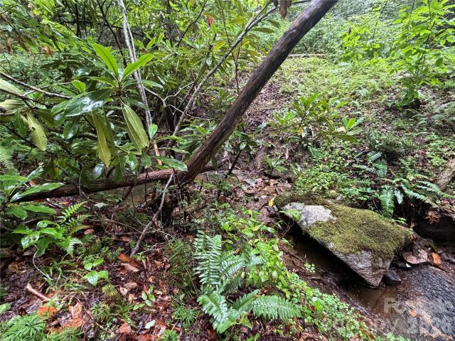 Land for sale in Transylvania, North Carolina