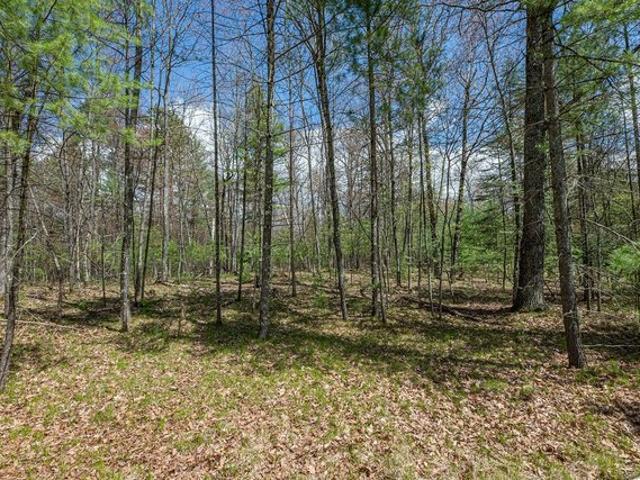 Land for sale in Vilas, Wisconsin