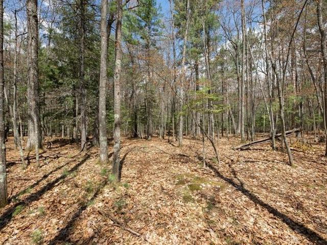Land for sale in Vilas, Wisconsin