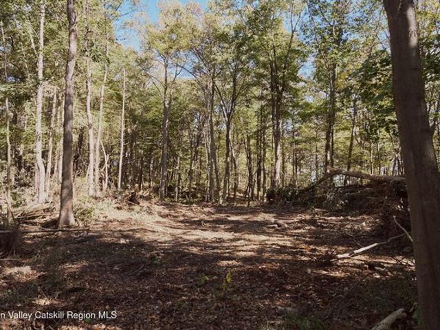 Land for sale in Kingston, New York