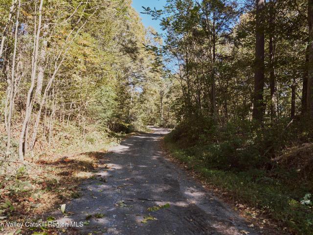Land for sale in Lake Katrine, New York