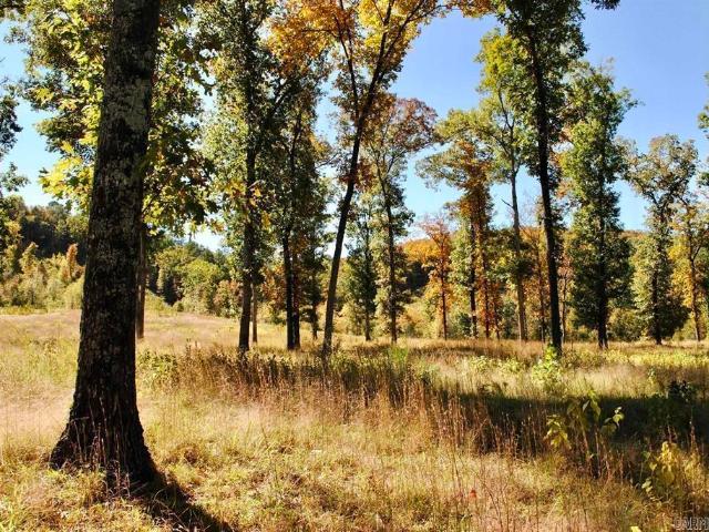 Land for sale in Perryville, Perry County