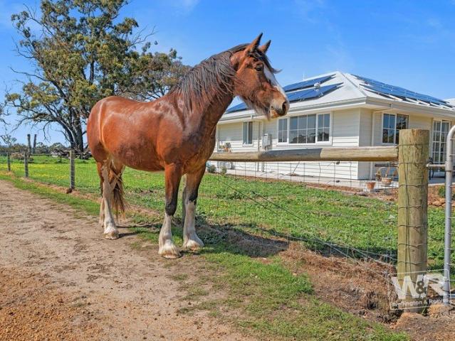 House for sale in Mount Barker, Western Australia