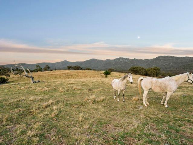 House for sale in Michelago, New South Wales