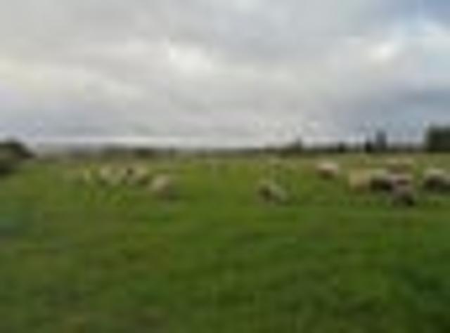 Land for sale in Blackball, West Coast