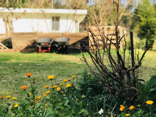 Cottage for sale in Tabulam, New South Wales