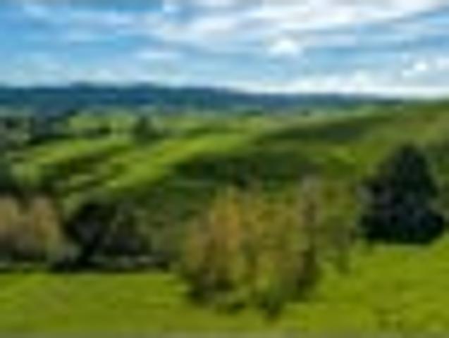 House for sale in Karetu, Northland