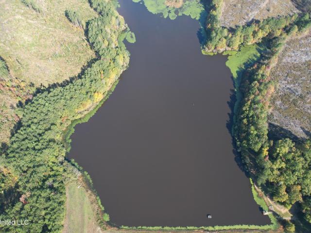 Land for sale in Water Valley, Mississippi