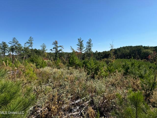 Land for sale in Coffeeville, Mississippi