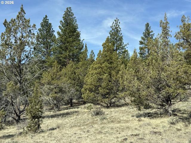 Land for sale in Oregonia