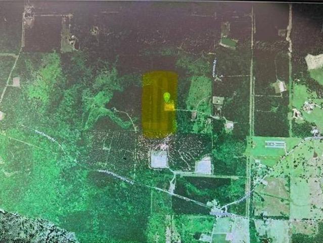 Land for sale in De Soto, Louisiana
