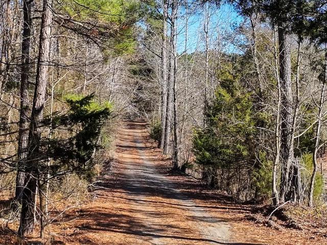 Land for sale in Chatham, North Carolina