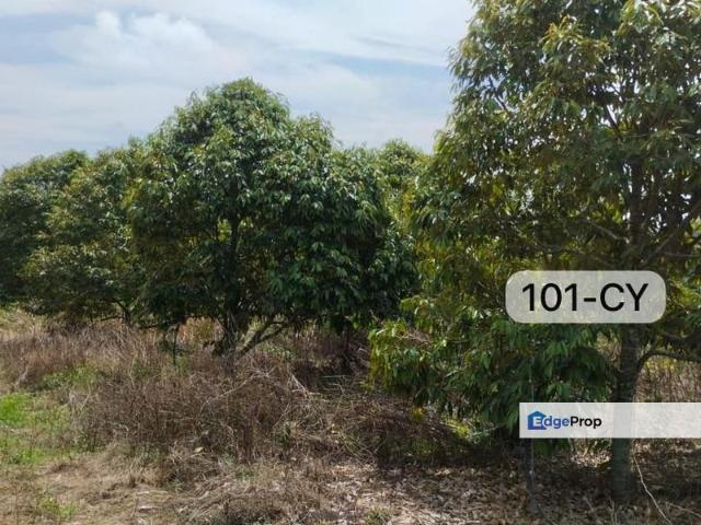Warehouse for sale in Pahang