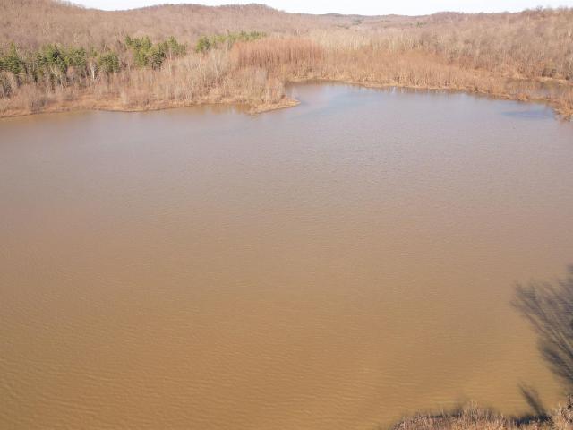 Land for sale in Leopold, Indiana