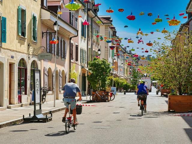 Wohnung kaufen in Carouge (GE)